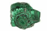 Flowery Polished Malachite Slab - DR Congo #266826-1